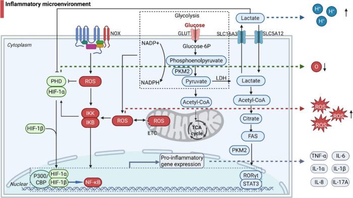 https://cdn.ncbi.nlm.nih.gov/pmc/blobs/e944/12045021/e5c267a4c39c/nn5c00700_0001.jpg