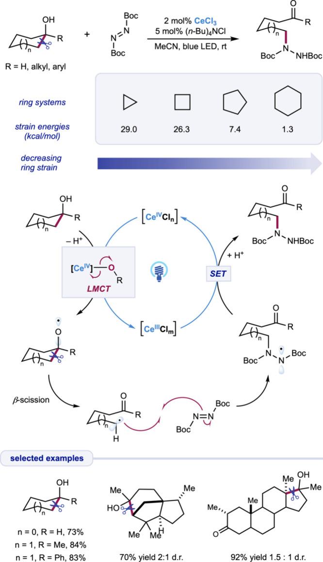 https://cdn.ncbi.nlm.nih.gov/pmc/blobs/e945/11669090/962c9faf437a/ar4c00510_0005.jpg