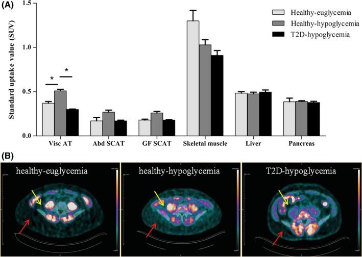 https://cdn.ncbi.nlm.nih.gov/pmc/blobs/e945/6618104/eae5cc67a333/ECI-49-na-g002.jpg