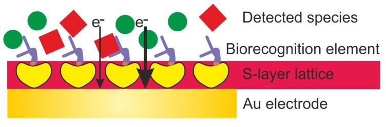 https://cdn.ncbi.nlm.nih.gov/pmc/blobs/e947/7147708/33a8d1f98cea/sensors-20-01721-g002.jpg