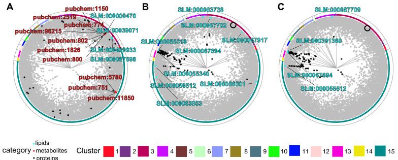 https://cdn.ncbi.nlm.nih.gov/pmc/blobs/e949/12024871/c3b36f4aaaed/biomolecules-15-00484-g003.jpg