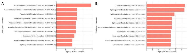 https://cdn.ncbi.nlm.nih.gov/pmc/blobs/e949/12024871/d69c0a0820f3/biomolecules-15-00484-g004.jpg