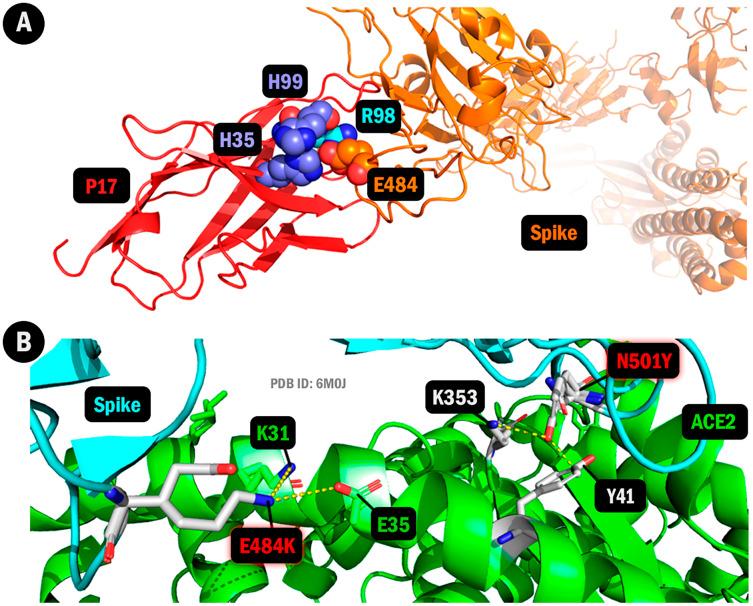 https://cdn.ncbi.nlm.nih.gov/pmc/blobs/e949/8953562/31132f35c4fe/peerj-10-13099-g003.jpg