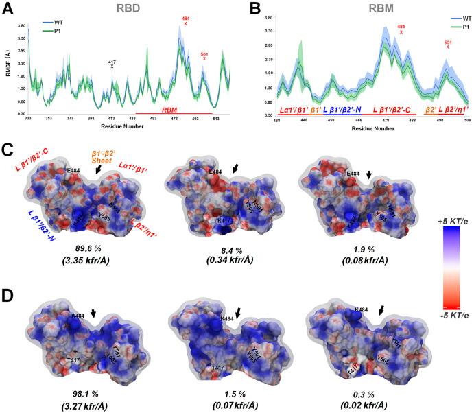 https://cdn.ncbi.nlm.nih.gov/pmc/blobs/e949/8953562/5036f7365fbd/peerj-10-13099-g005.jpg