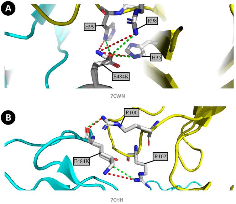 https://cdn.ncbi.nlm.nih.gov/pmc/blobs/e949/8953562/dc205d51b9ff/peerj-10-13099-g004.jpg