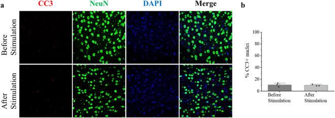 https://cdn.ncbi.nlm.nih.gov/pmc/blobs/e94a/10042827/5a2e1bea551d/41598_2023_31979_Fig5_HTML.jpg