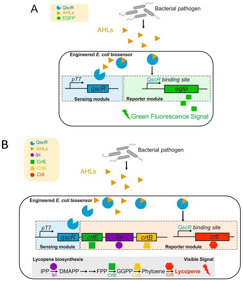 https://cdn.ncbi.nlm.nih.gov/pmc/blobs/e94a/12109524/676b8d91134f/biosensors-15-00290-g020.jpg