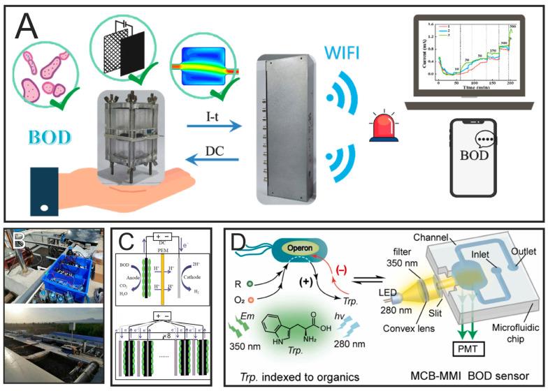 https://cdn.ncbi.nlm.nih.gov/pmc/blobs/e94a/12109524/a02470894462/biosensors-15-00290-g006.jpg