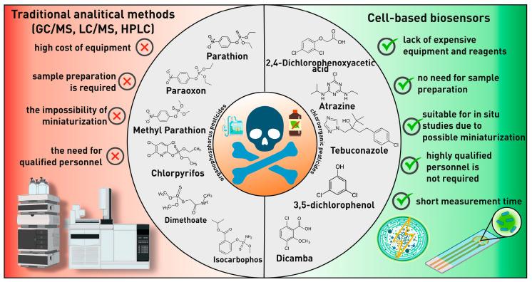 https://cdn.ncbi.nlm.nih.gov/pmc/blobs/e94a/12109524/aa45b7cbdcb5/biosensors-15-00290-g017.jpg