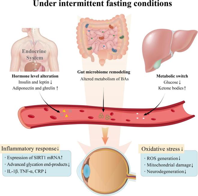 https://cdn.ncbi.nlm.nih.gov/pmc/blobs/e94b/9171076/e45d237e1514/fmed-09-867624-g004.jpg