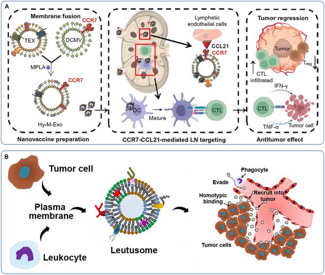 https://cdn.ncbi.nlm.nih.gov/pmc/blobs/e94c/11409001/1735a4060e54/research.0478.fig.006.jpg