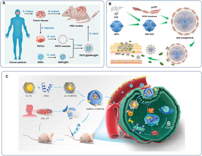 https://cdn.ncbi.nlm.nih.gov/pmc/blobs/e94c/11409001/1f52c7313421/research.0478.fig.004.jpg