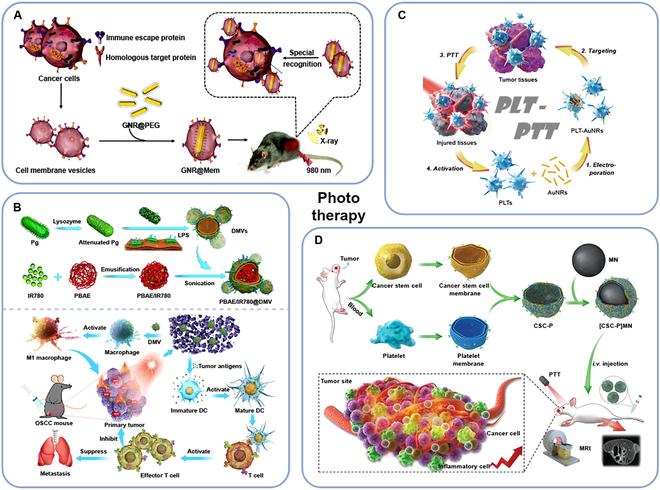 https://cdn.ncbi.nlm.nih.gov/pmc/blobs/e94c/11409001/3177100738eb/research.0478.fig.005.jpg