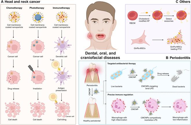 https://cdn.ncbi.nlm.nih.gov/pmc/blobs/e94c/11409001/32b99055227b/research.0478.fig.003.jpg
