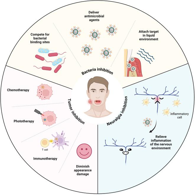 https://cdn.ncbi.nlm.nih.gov/pmc/blobs/e94c/11409001/4668f0982371/research.0478.fig.001.jpg