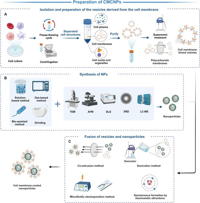 https://cdn.ncbi.nlm.nih.gov/pmc/blobs/e94c/11409001/b8c35e0dac07/research.0478.fig.002.jpg