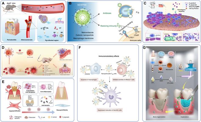 https://cdn.ncbi.nlm.nih.gov/pmc/blobs/e94c/11409001/dc7315178bdd/research.0478.fig.007.jpg