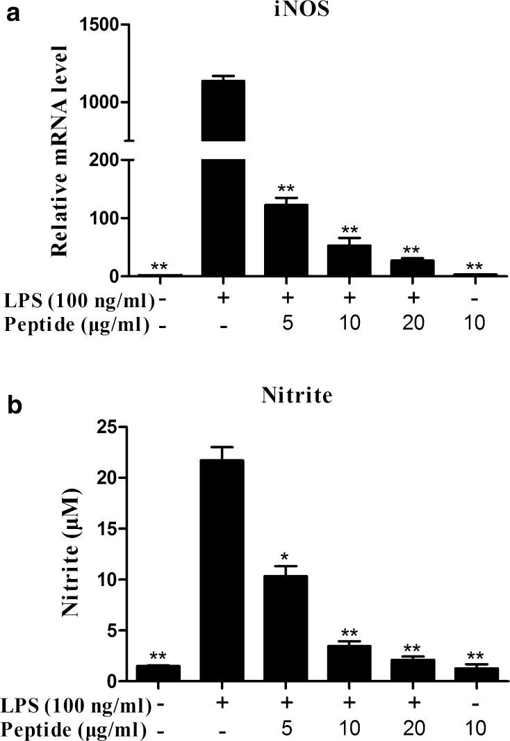 https://cdn.ncbi.nlm.nih.gov/pmc/blobs/e94d/5561178/20b46037ea99/726_2017_2449_Fig7_HTML.jpg