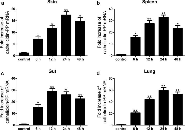 https://cdn.ncbi.nlm.nih.gov/pmc/blobs/e94d/5561178/800ccd086e59/726_2017_2449_Fig11_HTML.jpg