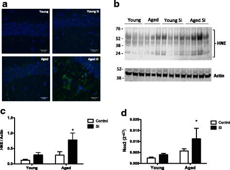 https://cdn.ncbi.nlm.nih.gov/pmc/blobs/e94d/5791311/8b70065c1ac9/12974_2018_1059_Fig5_HTML.jpg