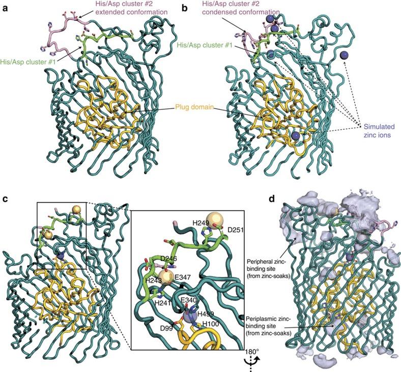 https://cdn.ncbi.nlm.nih.gov/pmc/blobs/e94e/4557270/8285d61686c0/ncomms8996-f3.jpg