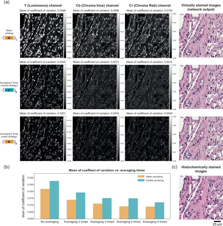 https://cdn.ncbi.nlm.nih.gov/pmc/blobs/e94f/12125245/bc04539ad71d/41467_2025_60387_Fig4_HTML.jpg