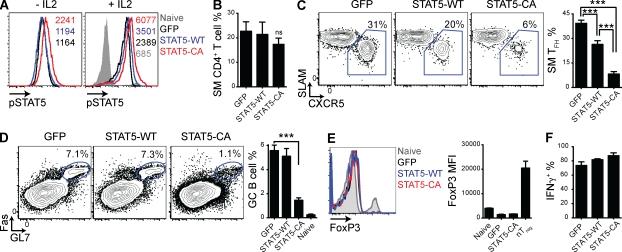 https://cdn.ncbi.nlm.nih.gov/pmc/blobs/e94f/3281266/0bf900408642/JEM_20111174_Fig1.jpg