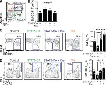https://cdn.ncbi.nlm.nih.gov/pmc/blobs/e94f/3281266/467de30ba2c6/JEM_20111174_Fig4.jpg