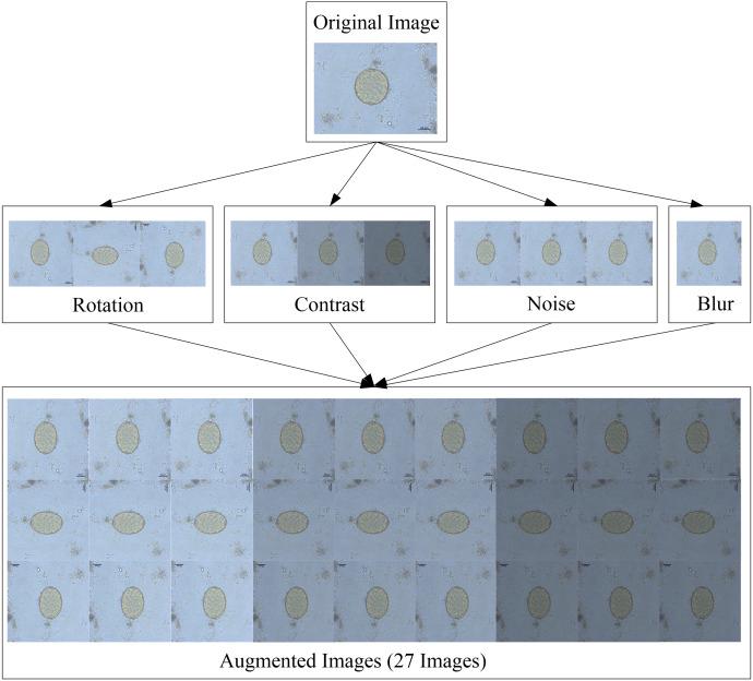 https://cdn.ncbi.nlm.nih.gov/pmc/blobs/e94f/9455271/2a753358a0bc/peerj-cs-08-1065-g004.jpg