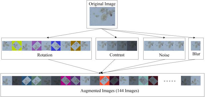 https://cdn.ncbi.nlm.nih.gov/pmc/blobs/e94f/9455271/69c72a24167a/peerj-cs-08-1065-g003.jpg
