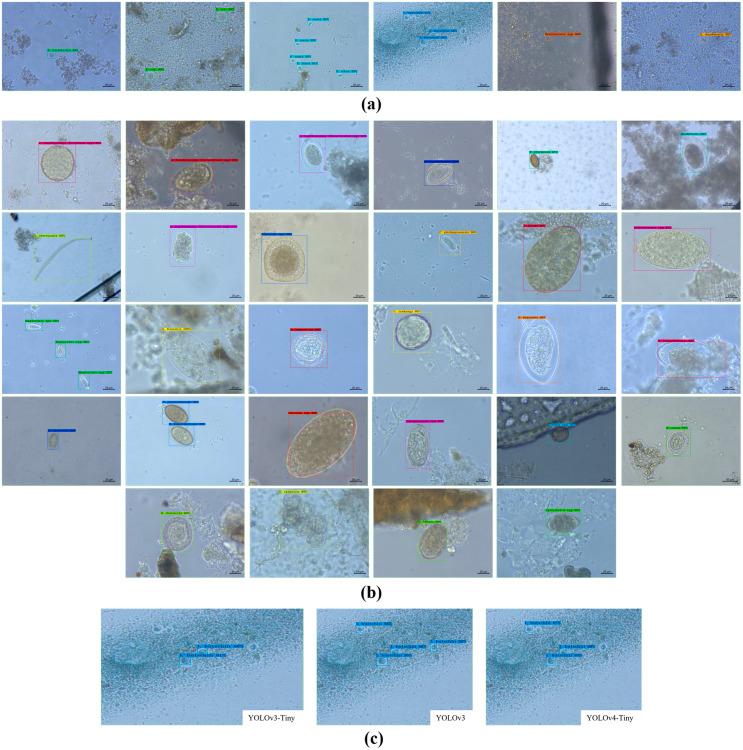 https://cdn.ncbi.nlm.nih.gov/pmc/blobs/e94f/9455271/fdd5f800b397/peerj-cs-08-1065-g007.jpg