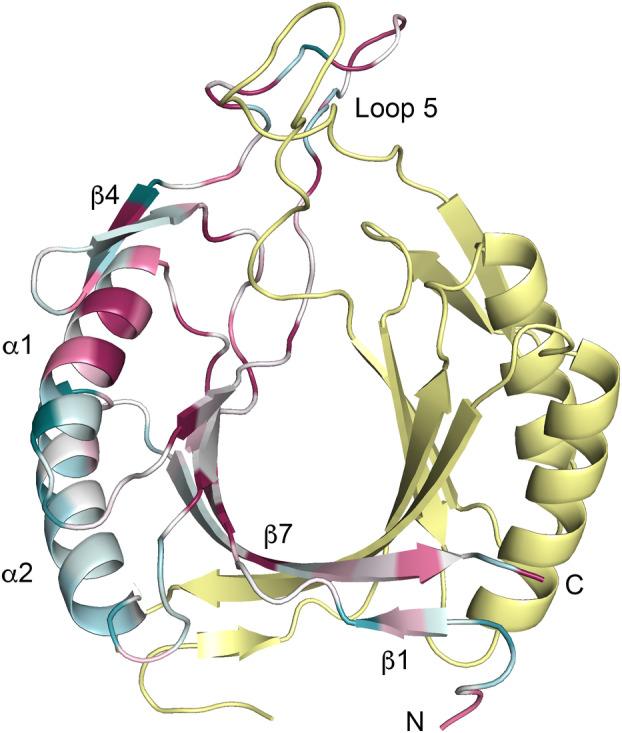 https://cdn.ncbi.nlm.nih.gov/pmc/blobs/e951/11301259/37e1124c5093/FEB4-14-1222-g001.jpg