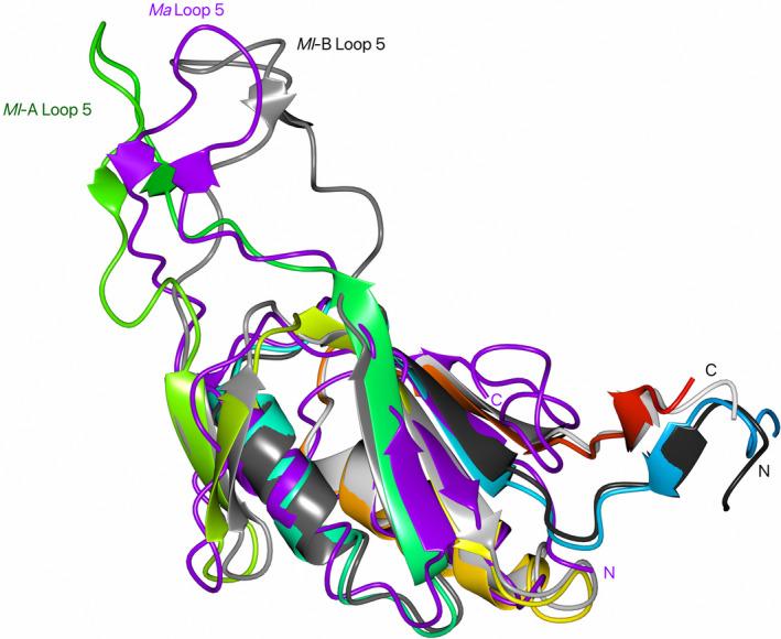 https://cdn.ncbi.nlm.nih.gov/pmc/blobs/e951/11301259/76a73cd3a86a/FEB4-14-1222-g003.jpg