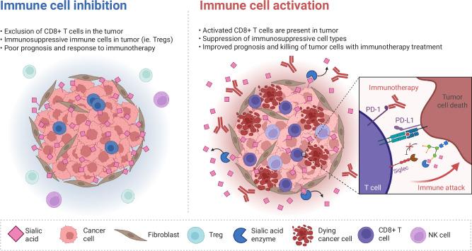 https://cdn.ncbi.nlm.nih.gov/pmc/blobs/e951/12217376/63fecbafae97/41514_2025_250_Fig4_HTML.jpg