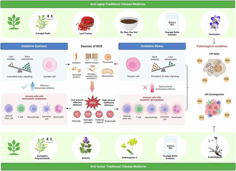 https://cdn.ncbi.nlm.nih.gov/pmc/blobs/e951/12217376/d7e07c338b3a/41514_2025_250_Fig1_HTML.jpg