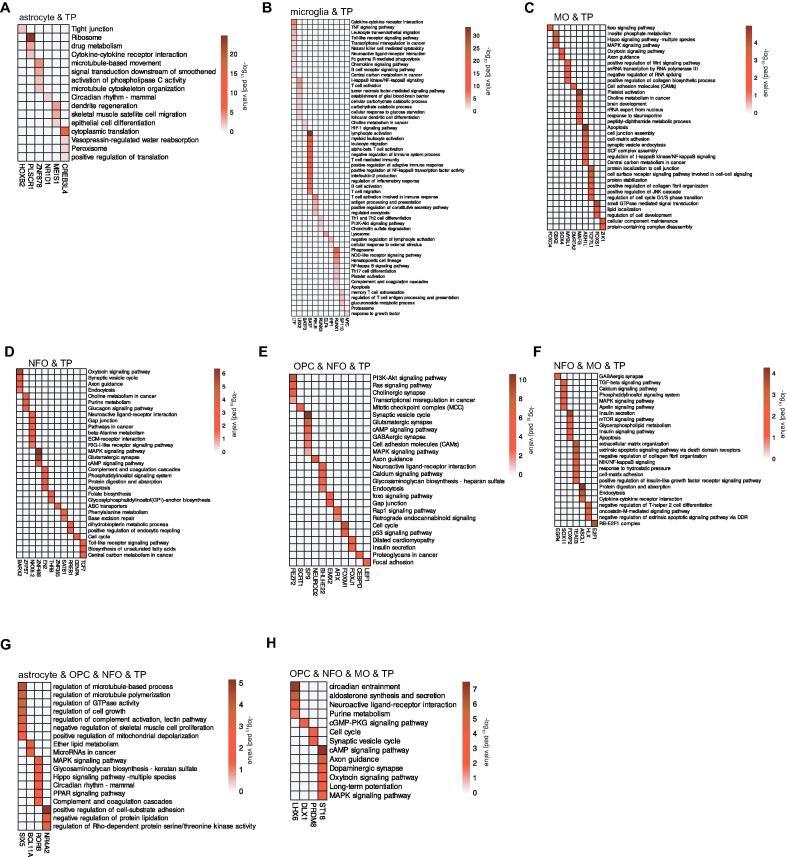 https://cdn.ncbi.nlm.nih.gov/pmc/blobs/e954/8688884/129b62fd667b/gr7.jpg