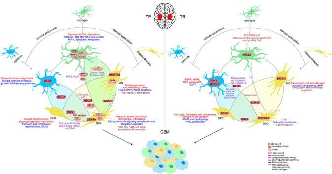 https://cdn.ncbi.nlm.nih.gov/pmc/blobs/e954/8688884/4239eea0e93c/ga1.jpg