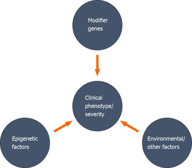 https://cdn.ncbi.nlm.nih.gov/pmc/blobs/e956/7672940/ed3007b790f7/WJBC-11-99-g001.jpg