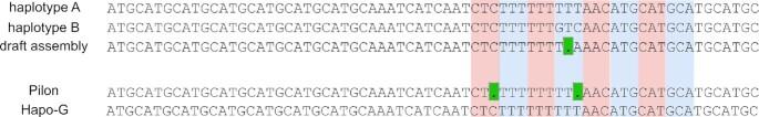 https://cdn.ncbi.nlm.nih.gov/pmc/blobs/e956/8092372/070a67763da9/lqab034fig1.jpg