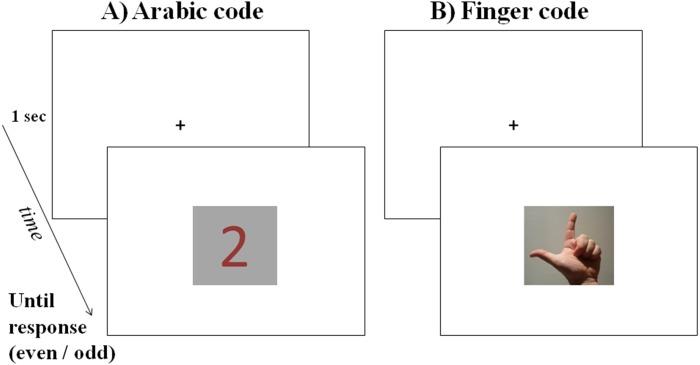 https://cdn.ncbi.nlm.nih.gov/pmc/blobs/e957/7227642/3ed069d31ed1/peerj-08-9155-g001.jpg