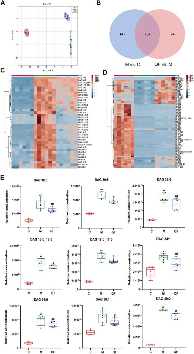 https://cdn.ncbi.nlm.nih.gov/pmc/blobs/e959/8672039/a824f2c60186/fphar-12-777689-g005.jpg