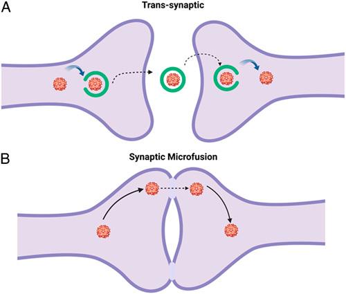 https://cdn.ncbi.nlm.nih.gov/pmc/blobs/e95a/10289609/41332242f1a9/ms9-85-2761-g003.jpg