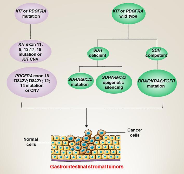 https://cdn.ncbi.nlm.nih.gov/pmc/blobs/e95a/11272528/81af8c2ec7ec/fonc-14-1405727-g003.jpg