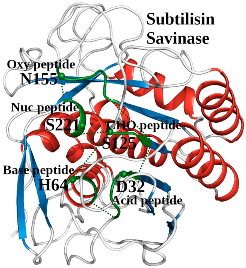 https://cdn.ncbi.nlm.nih.gov/pmc/blobs/e95a/11593635/4d95d1688353/ijms-25-11858-g003.jpg