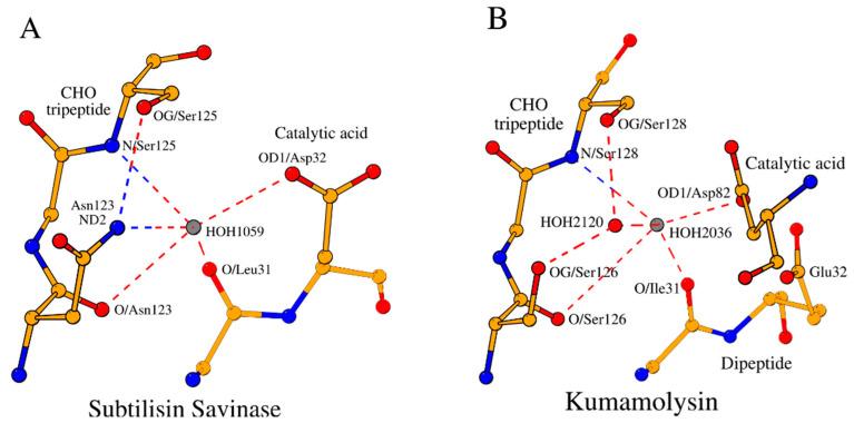https://cdn.ncbi.nlm.nih.gov/pmc/blobs/e95a/11593635/4e510a435264/ijms-25-11858-g006.jpg