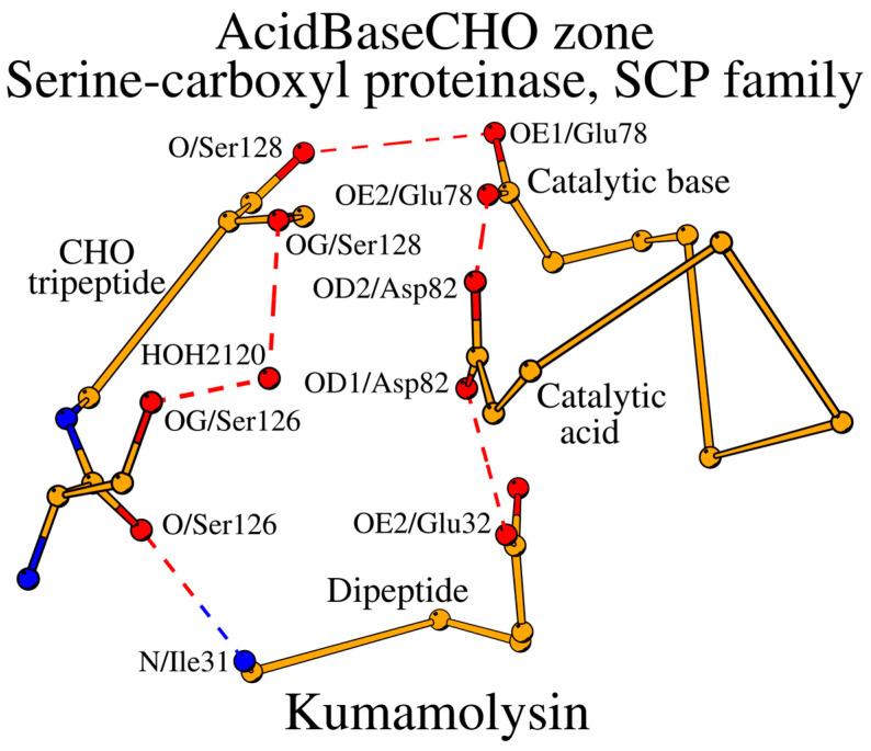 https://cdn.ncbi.nlm.nih.gov/pmc/blobs/e95a/11593635/7da6cffb1120/ijms-25-11858-g004.jpg