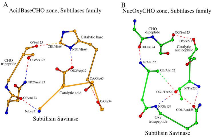 https://cdn.ncbi.nlm.nih.gov/pmc/blobs/e95a/11593635/e3fe19bc7c8a/ijms-25-11858-g001.jpg