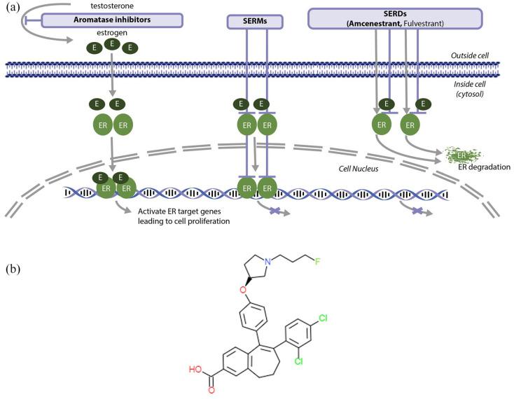 https://cdn.ncbi.nlm.nih.gov/pmc/blobs/e95a/8928355/0c712f2ada14/10.1177_17588359221083956-fig1.jpg