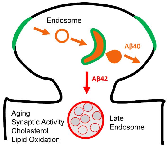 https://cdn.ncbi.nlm.nih.gov/pmc/blobs/e95a/9916408/39293f2a7a34/ijms-24-02092-g005.jpg