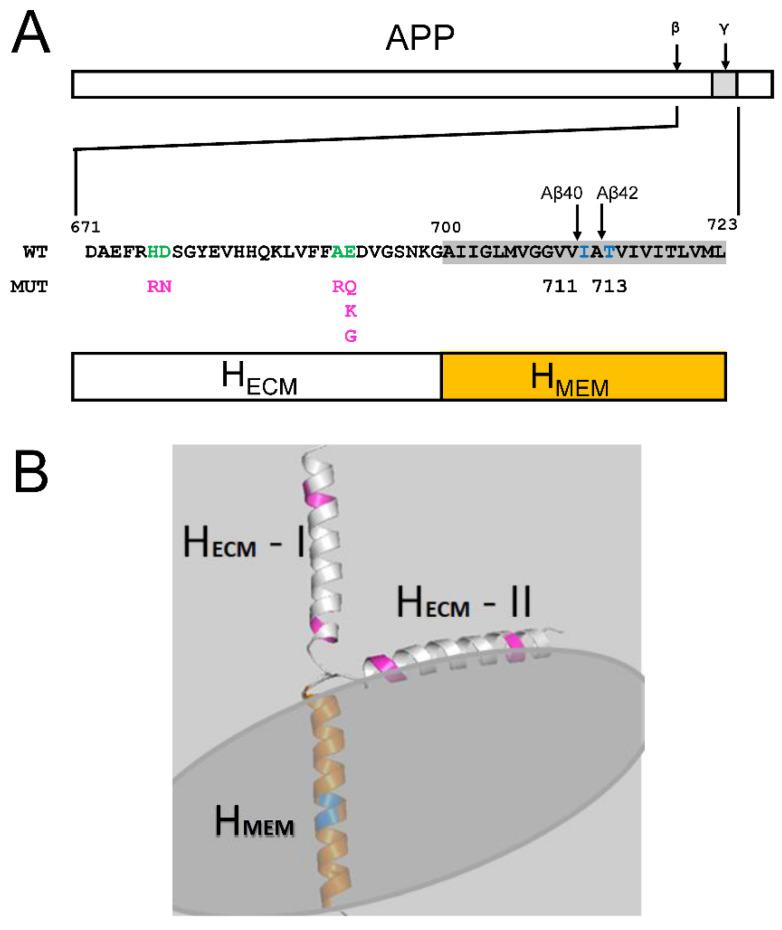https://cdn.ncbi.nlm.nih.gov/pmc/blobs/e95a/9916408/5c3e7d154996/ijms-24-02092-g001.jpg